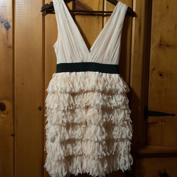 Zara Dresses & Skirts - ZARA | Deep V Front/Back Special Event Dress